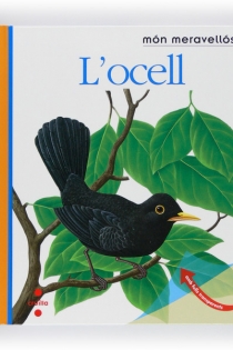 Portada del libro L'ocell - ISBN: 9788466125161