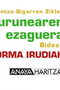 Portada del libro: Ingurunearen ezaguera 4. Horma-Irudiak.