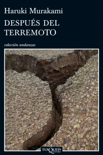 Portada del libro Después del terremoto - ISBN: 9788483834497