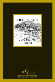 Portada del libro Piedra rota - ISBN: 9788483834787