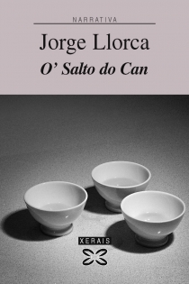 Portada del libro O '  Salto do Can - ISBN: 9788499140018