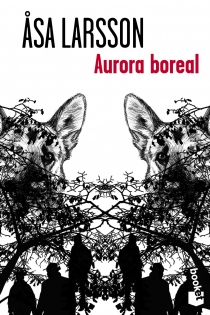 Portada del libro: Aurora boreal