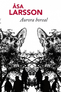 Portada del libro: Aurora boreal