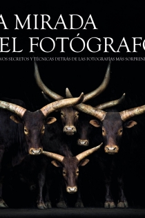 Portada del libro La mirada del fotógrafo - ISBN: 9788441534254